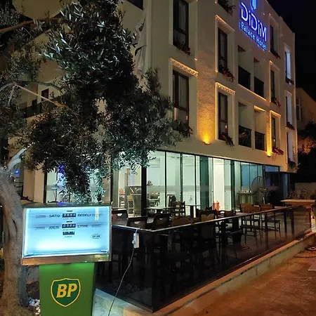 ベッド・アンド・ブレックファスト Palace ディディム